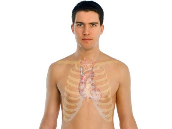 како паразитите влијаат на човечките органи