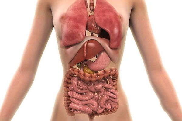 паразити во човечкото тело