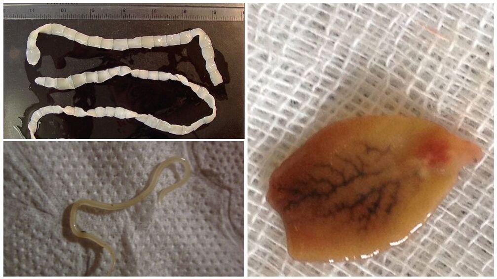 Видови паразити